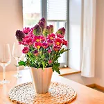 Ferienwohnung In Wismar Im Stadtzentrum Lägenhet