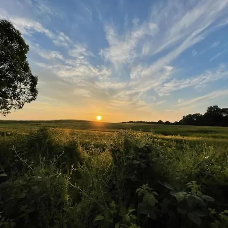 Modern In With Private Terrace