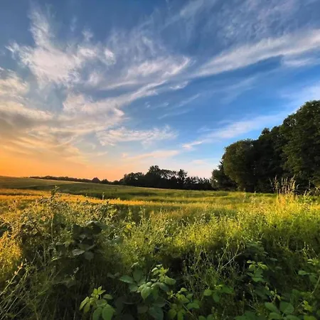 Modern In With Private Terrace * Wißmar