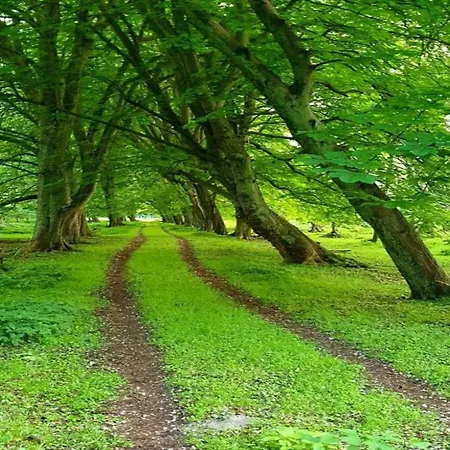 Modern In With Private Terrace Apartmán Wißmar