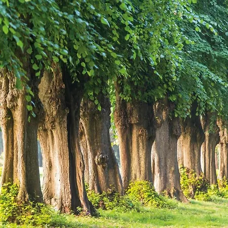 Modern In With Private Terrace 아파트 *