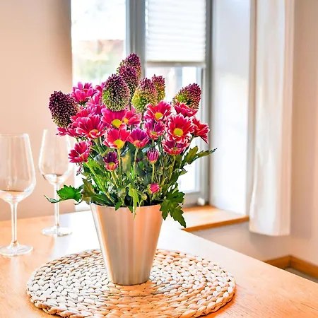 Modern In With Private Terrace * Wißmar