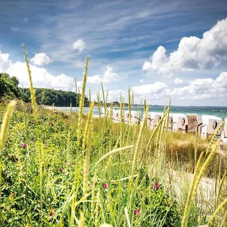 Modern In With Private Terrace *