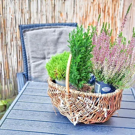 Modern In With Private Terrace * Wißmar